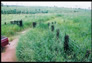 Foto do terreno