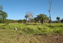Foto do terreno