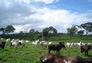 Foto do terreno