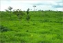 Foto do terreno