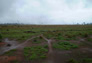 Foto do terreno