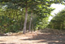 Foto do terreno