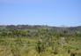 Foto do terreno