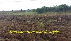 Veja Mais Fotos!