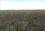 Foto do terreno