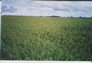 Foto do terreno