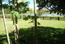 Foto do terreno