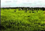 Foto do terreno