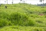 Foto do terreno